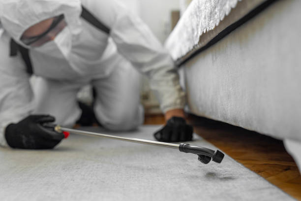 Professional Bed Bug Control technician working in Newport, WA