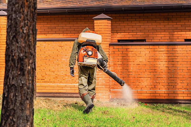 Trusted Bed Bug Control service in Newport, WA - Nex Pest Control